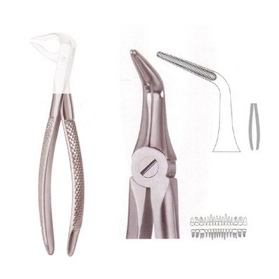 Extracting Forceps